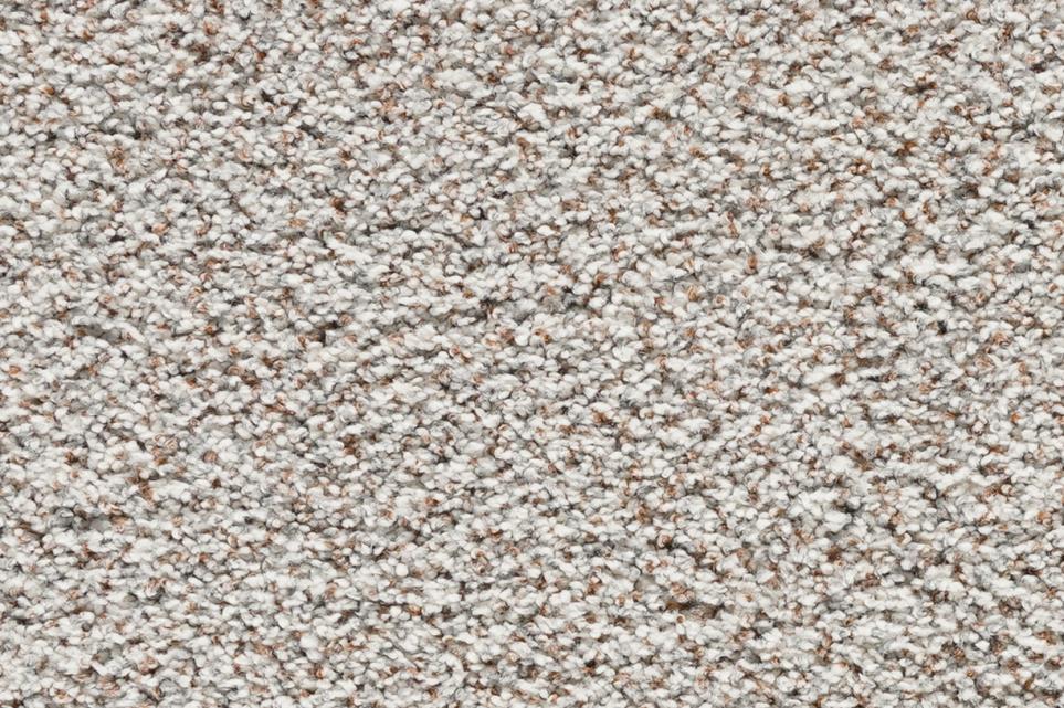 Textured Saxony Autumn Brown Carpet