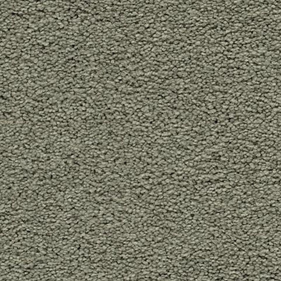 Textured Saxony Rejuvenation Brown Carpet