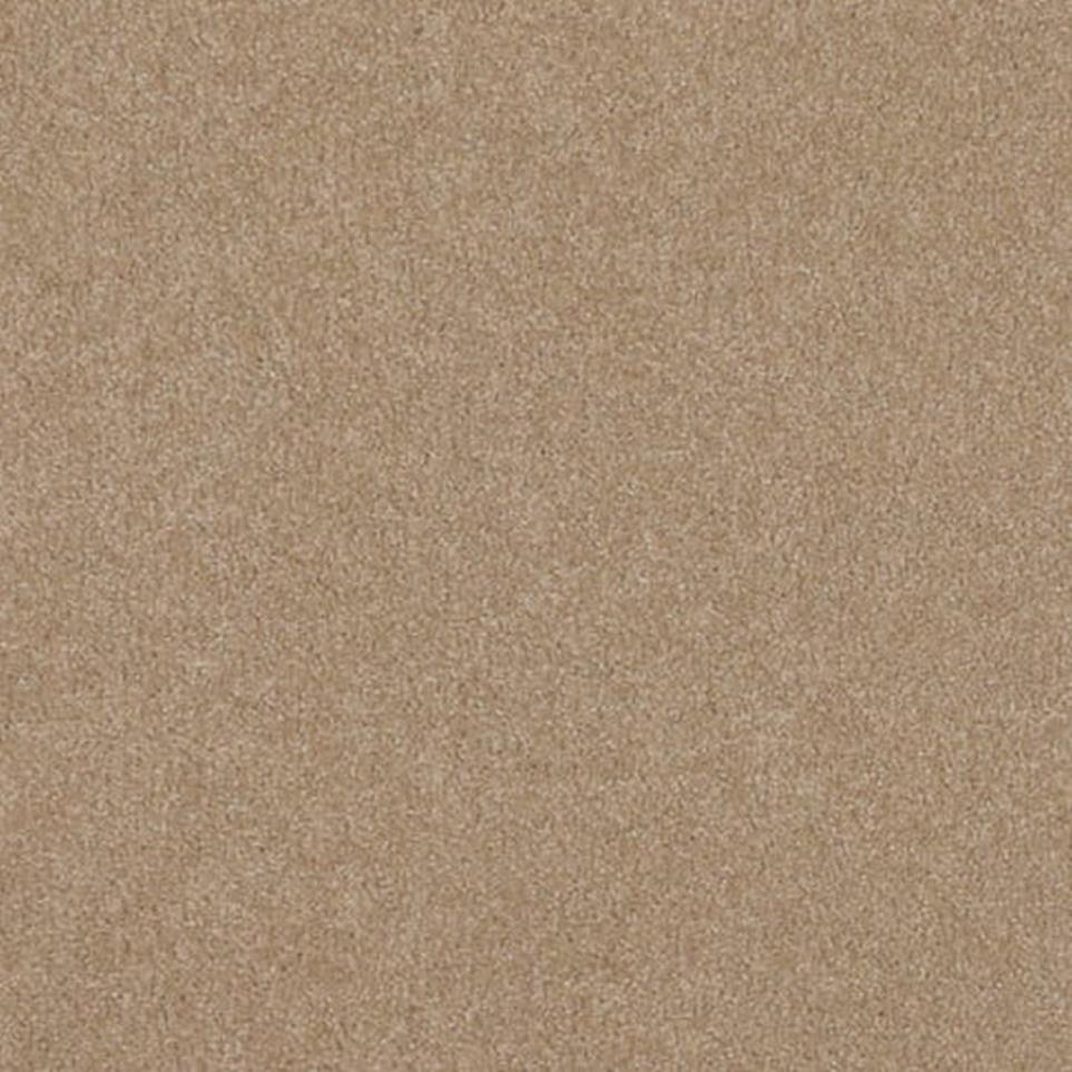 Textured Saxony Praline Brown Carpet