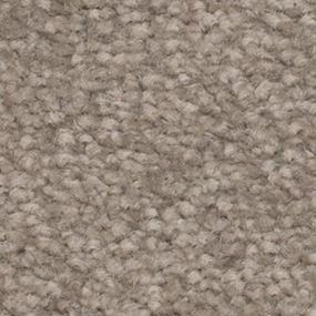 Texture Contessa Beige/Tan Carpet