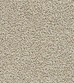 Textured Saxony Potential Beige/Tan Carpet