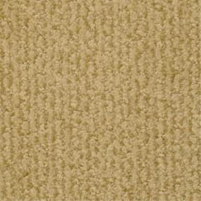 Pattern Pro Shop Beige/Tan Carpet