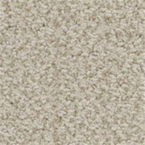 Pattern Flagstone Beige/Tan Carpet