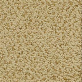Pattern Amulet  Carpet