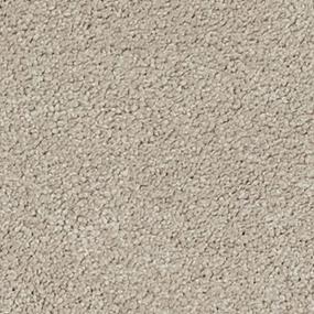 Textured Saxony Oatmeal Beige/Tan Carpet