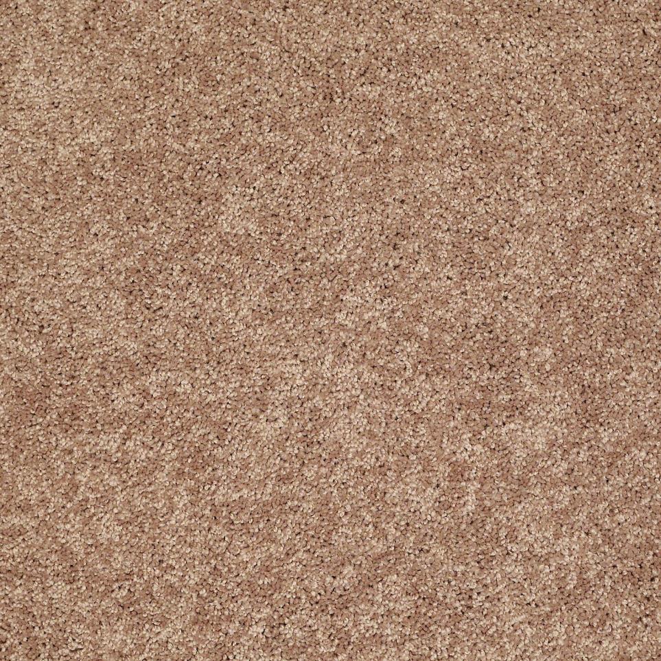 Textured Saxony Sweetwood Beige/Tan Carpet