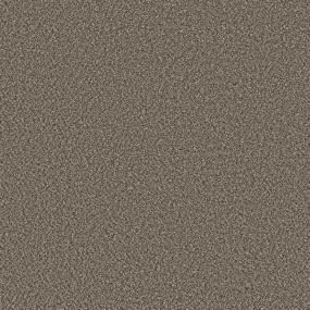 Casual Texture Forest Canopy Brown Carpet