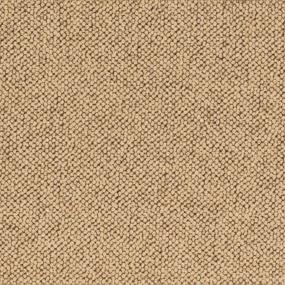 Pattern Harvest                        Beige/Tan Carpet