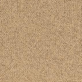 Berber Harvest                        Beige/Tan Carpet