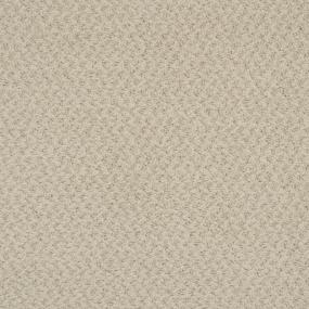 Pattern Foggy Beige/Tan Carpet