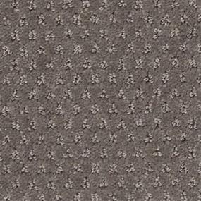 Pattern Colonial Gray Carpet