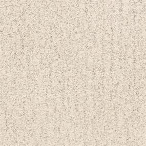 Textured Saxony Sail Boat Beige/Tan Carpet