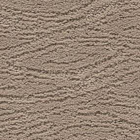 Pattern South Pines Brown Carpet