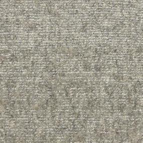 Loop Desire Gray Carpet