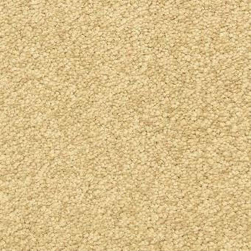 Casual Texture Rough Hewn Beige/Tan Carpet