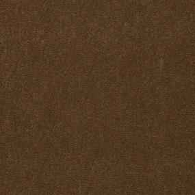 Cut Pile Acorn Brown Carpet