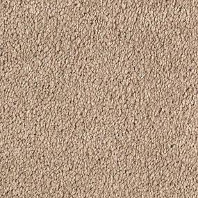 Textured Saxony Palisade Brown Carpet
