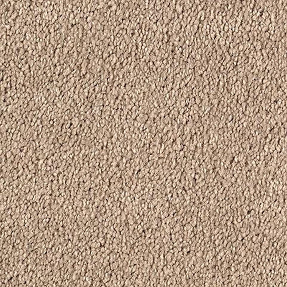 Textured Saxony Palisade Brown Carpet