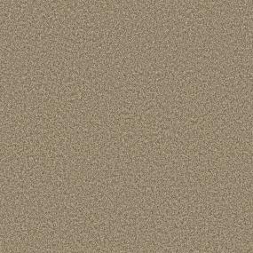 Textured Saxony Hideaway Brown Carpet