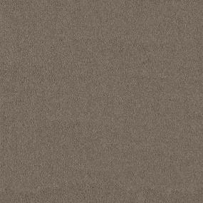 Textured Saxony Dockside Brown Carpet