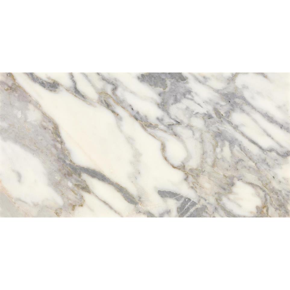 Tile Arabescato Argento Honed Gray Tile