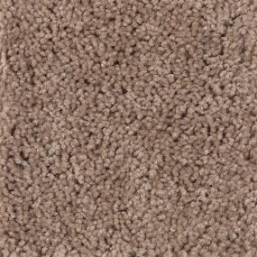 Textured Saxony Pine Cone Beige/Tan Carpet