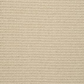 Pattern Sea Salt Beige/Tan Carpet