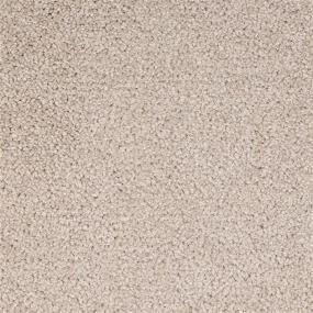 Textured Saxony Ambassador Beige/Tan Carpet