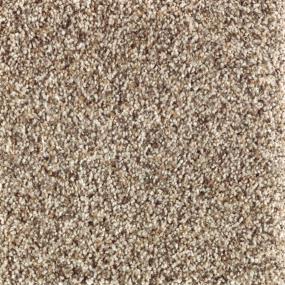 Textured Saxony Country Twill Beige/Tan Carpet