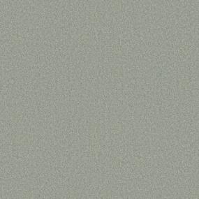 Textured Saxony Oakmoss Gray Carpet