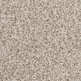 Textured Saxony Spanish Grey Gray Carpet