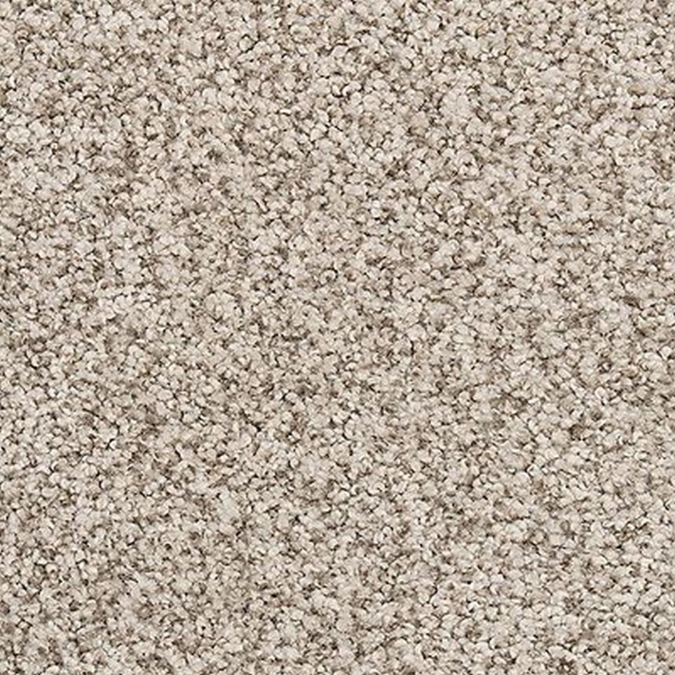 Textured Saxony Spanish Grey Gray Carpet