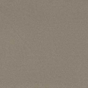 Textured Saxony Afternoon Beige/Tan Carpet