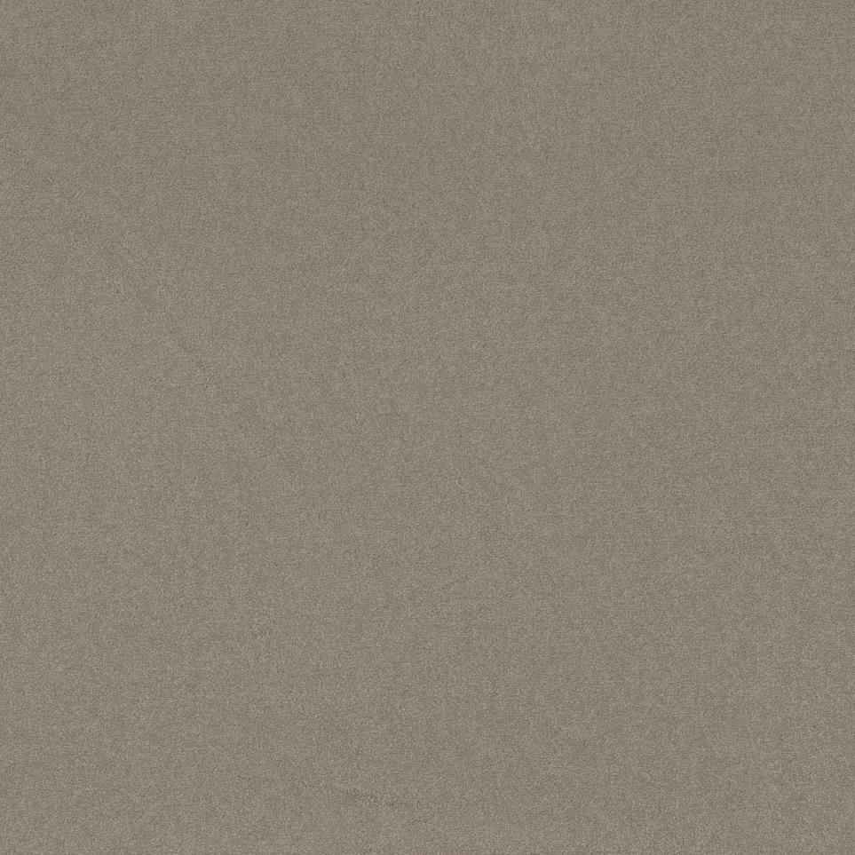 Textured Saxony Afternoon Beige/Tan Carpet