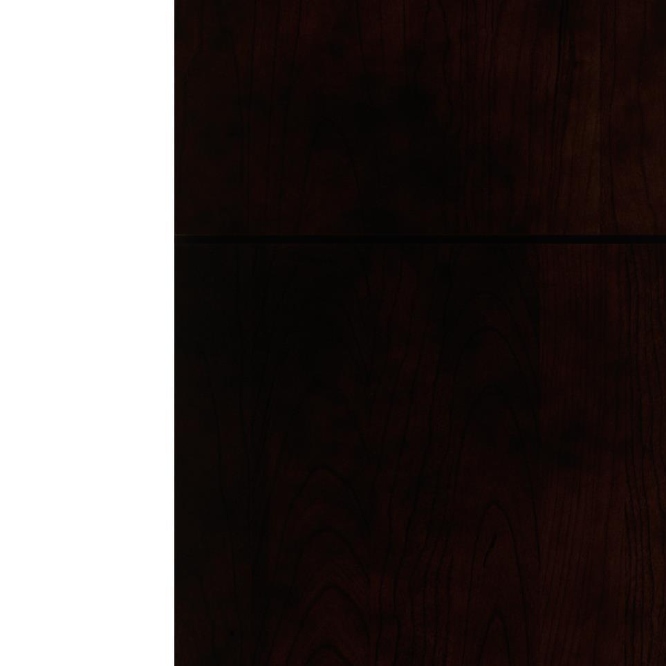 Slab Chocolate Dark Finish Slab Cabinets