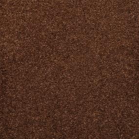 Casual Texture Bison Brown Carpet