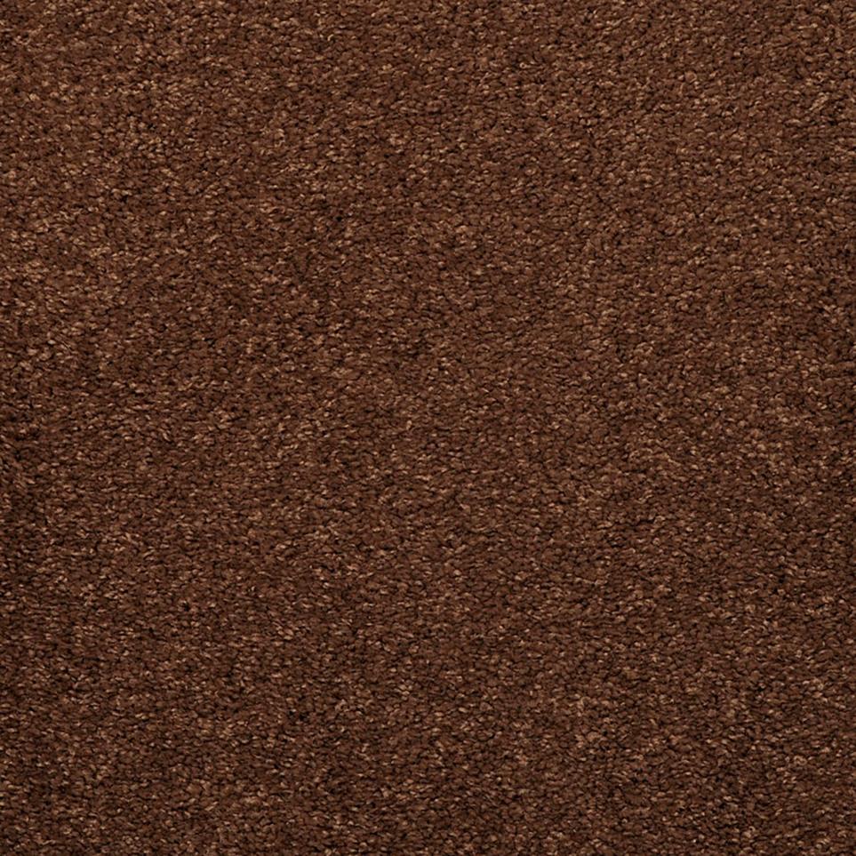 Casual Texture Bison Brown Carpet