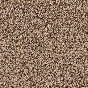 Textured Saxony Phoenix Brown Carpet