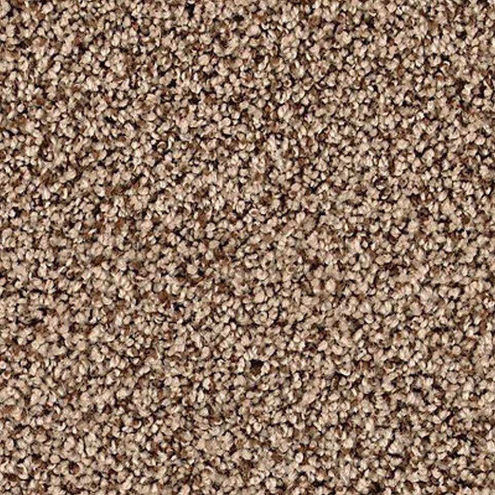 Textured Saxony Phoenix Brown Carpet
