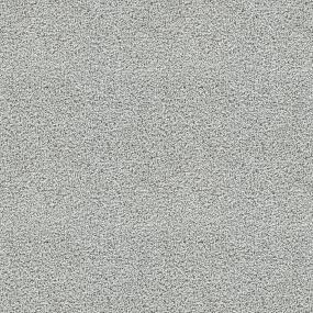 Textured Saxony Masterful Gray Carpet