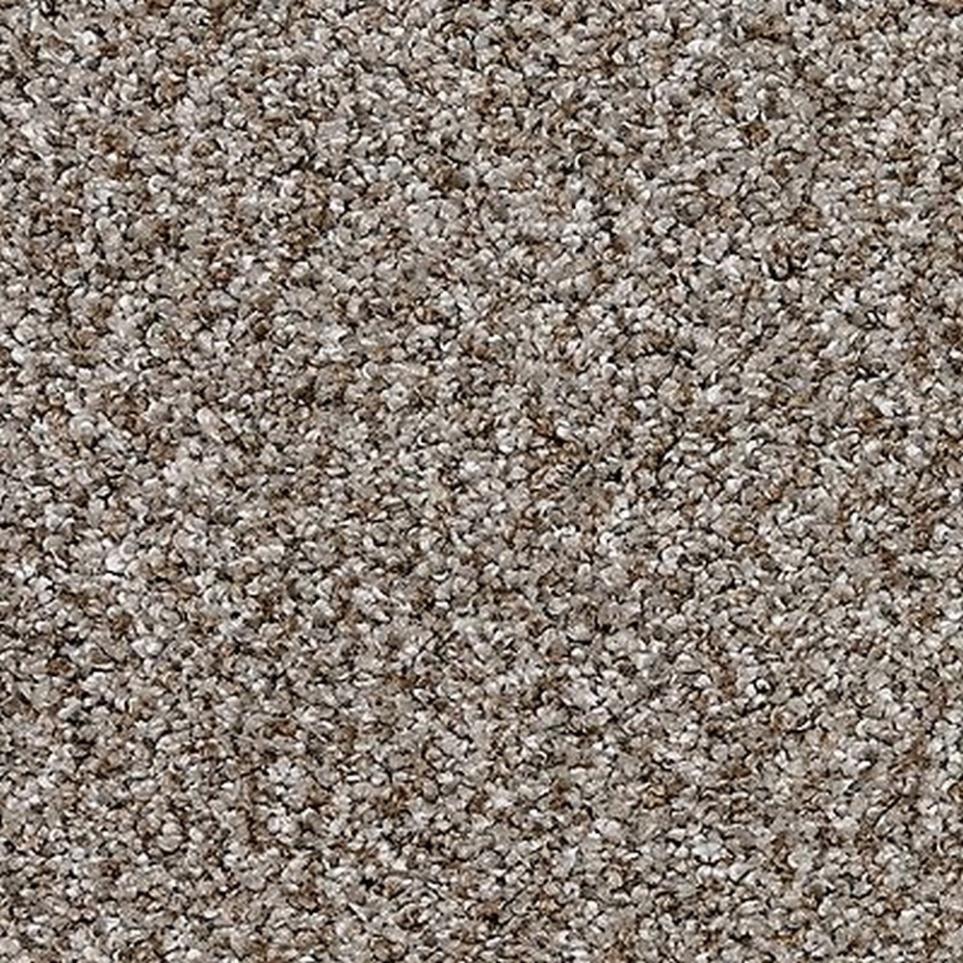 Pattern Driftwood Brown Carpet