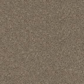 Textured Saxony Bungalow Beige/Tan Carpet
