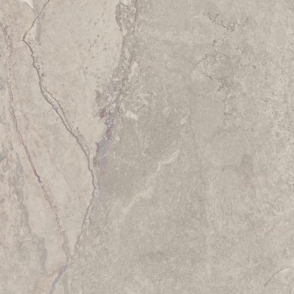 Tile Metamorphic Matte Beige/Tan Tile