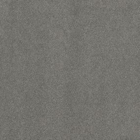 Textured Saxony Validity Gray Carpet