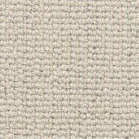 Loop Tapestry Beige/Tan Carpet