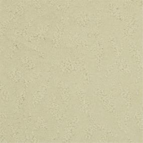 Pattern Shifting Sand Beige/Tan Carpet