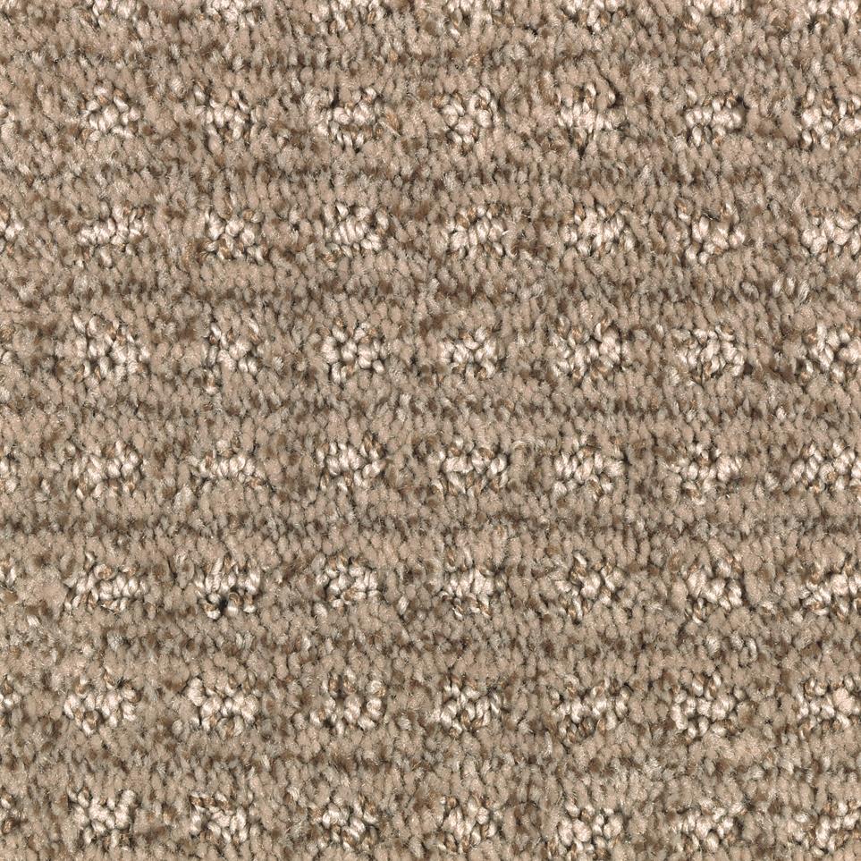 Pattern Light Driftwood Beige/Tan Carpet