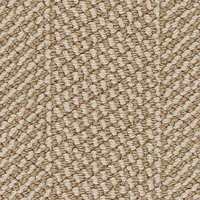 Loop Oscar Beige/Tan Carpet