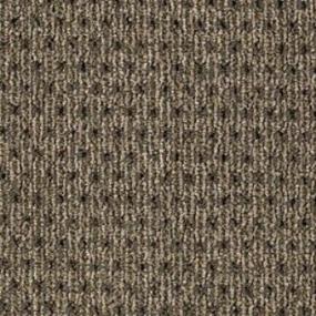 Cut/Uncut Oatmeal Brown Carpet