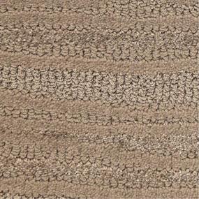 Pattern Fault Beige/Tan Carpet